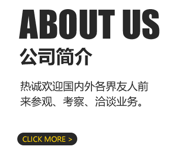 公司简介